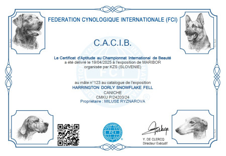 CACIB Maribor 19.4.2025